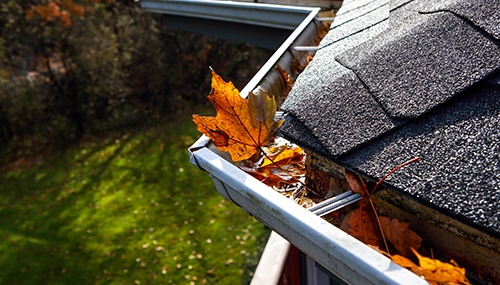 leaves in gutters
