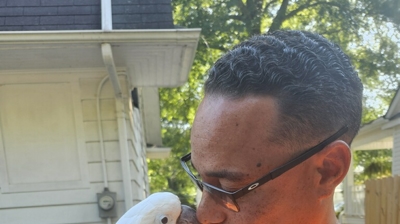 Trust Roofing and Property Maintenance LLC Photo