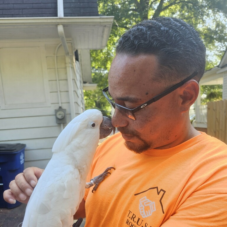 Trust Roofing and Property Maintenance LLC Photo