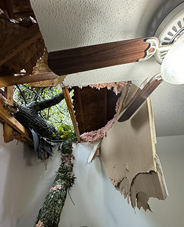 Emergency Roofing & Storm Damage